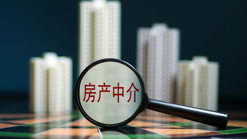 北京租房信息新规施行后首次执法检查 12家违规房产中介被查处